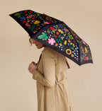 Umbrella - Curio