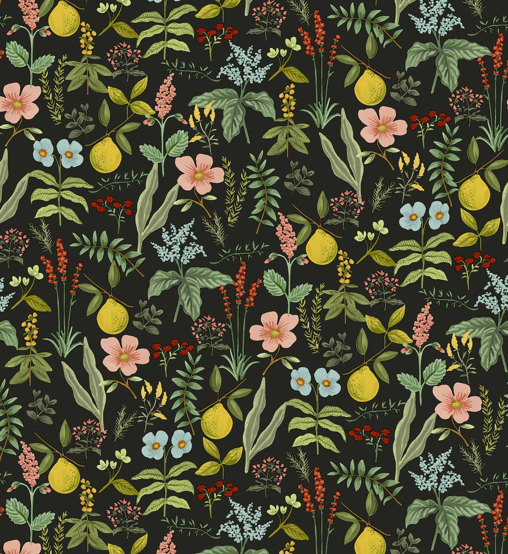 Herb Garden Peel & Stick Wallpaper - Black