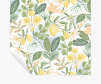 Amalfi Peel & Stick Wallpaper - Blush & Green