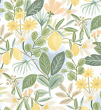Amalfi Peel & Stick Wallpaper - Blush & Green